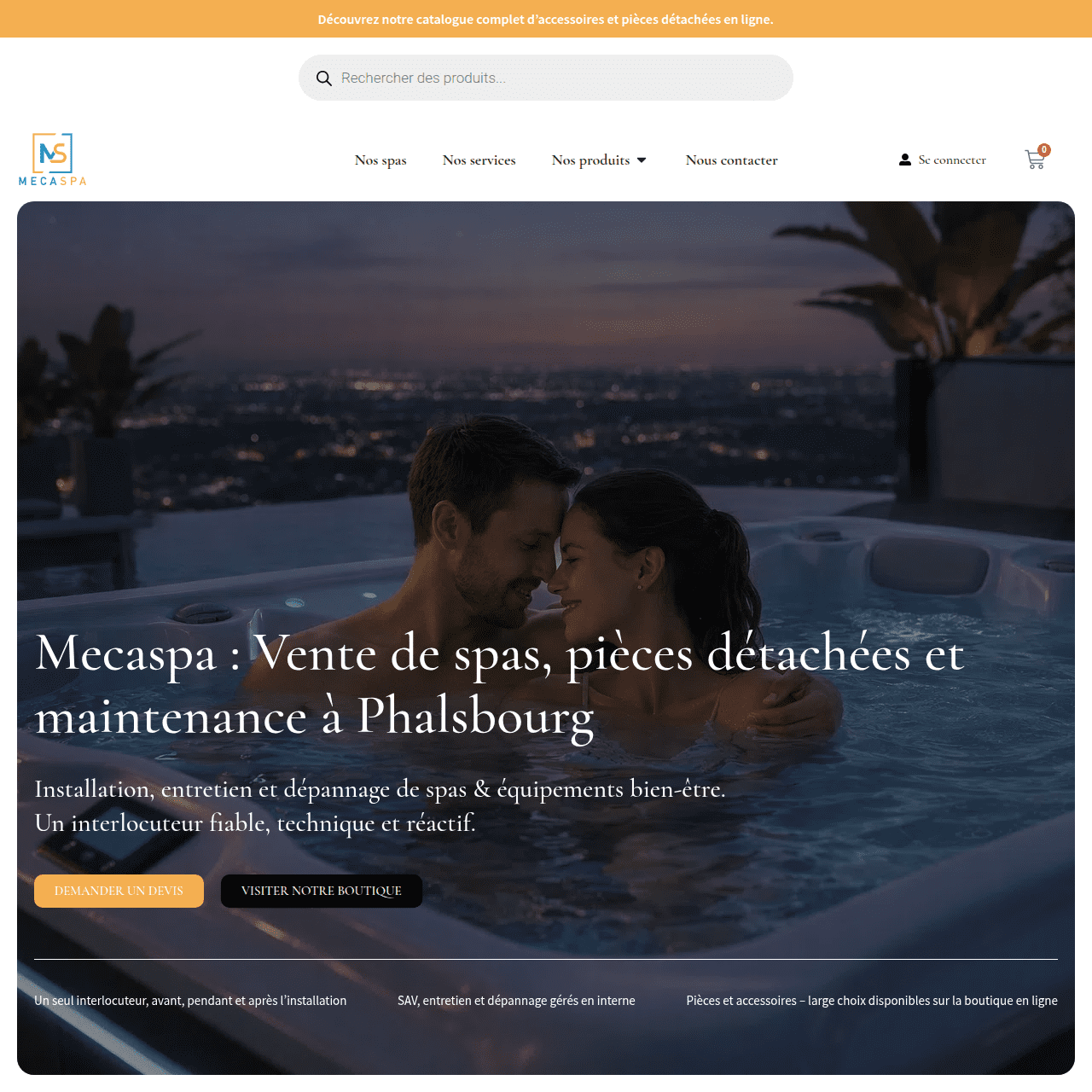 refonte site vitrine + ecommerce avec de gros résultat enregistré sur 3 mois par aozora